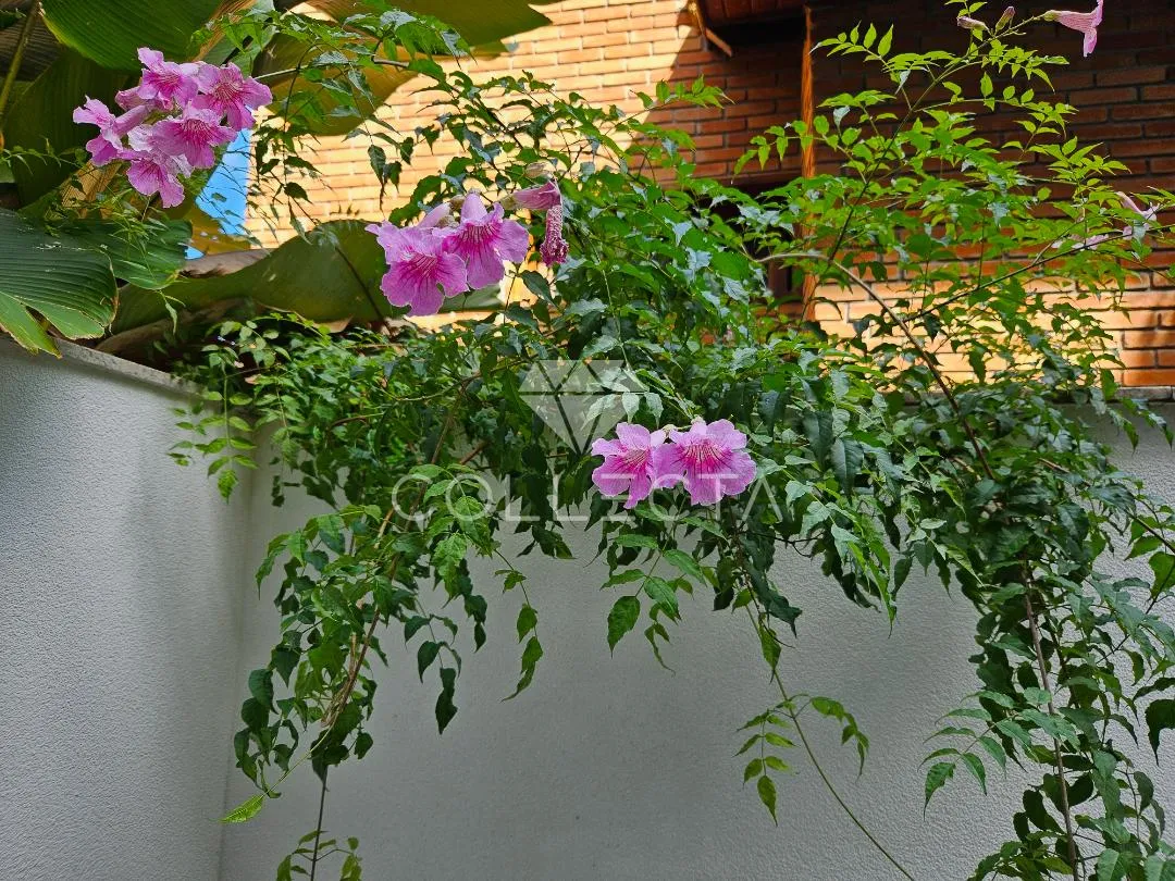 Garden com 1 suítes à venda em Vila Madalena, São Paulo, por R$ 1.295.000 Imagem 4